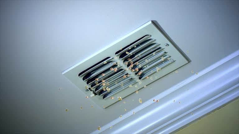 Best Air Duct Mold Removal  in Glastonbury Center, CT