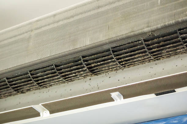 Best Affordable Duct Cleaning Services  in Glastonbury Center, CT